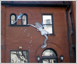 Adams Morgan.  Cat chase (?) on a building at Wyoming Ave and 18th St.
